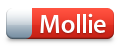 Mollie Payment Service Provider Van Nederlandse Bodem!